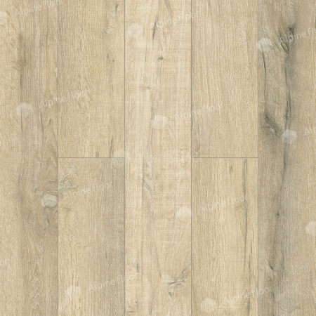 Кварц-виниловая плитка Alpinefloor Premium XL Дуб сливочный 